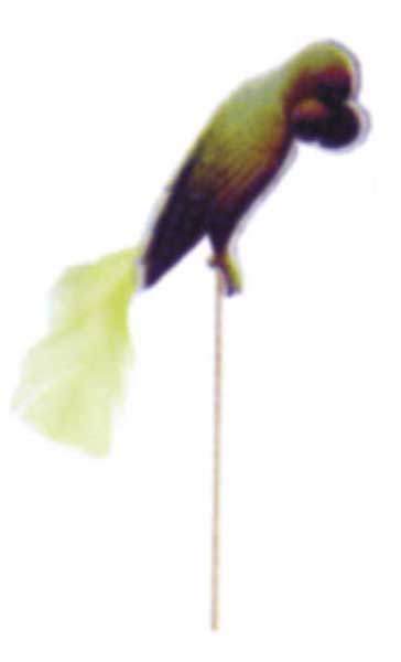 Коктейлна украса папагал 100бр.